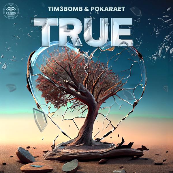 Tim3bomb, Pokaraet - True